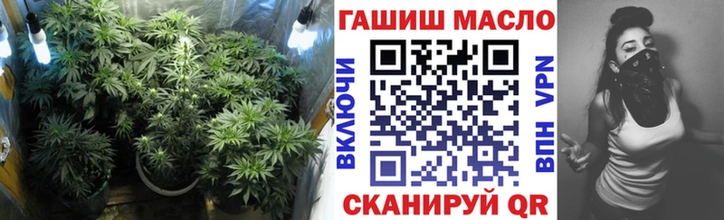 ТГК жижа  где найти наркотики  кракен ТОР  Старица 