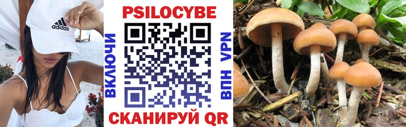 ОМГ ОМГ ссылка  купить закладку  Старица  Галлюциногенные грибы ЛСД 