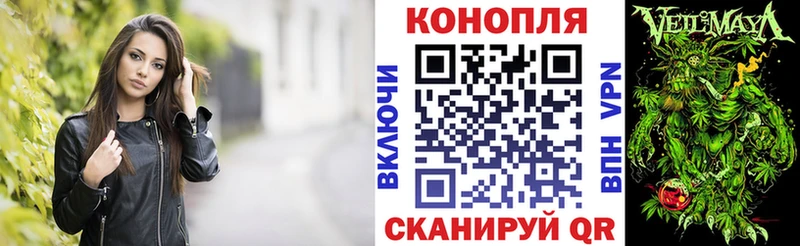 Канабис Ganja  Старица 